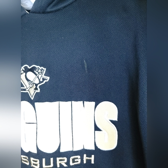 NHL Pittsburgh Penguins Embroidered Pullover Hoodie, Size Medium - Picture 2 of 4